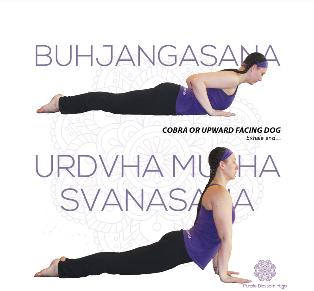 Heal yourself through Scientific Yoga - Swaraj Kendra for YogaBamboo  Yogshala